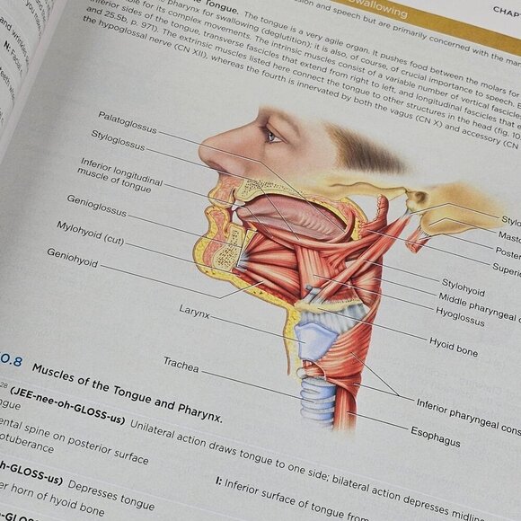 Anatomy & Physiology The Unity of Form & Function by Kenneth Saladin - Picture 5 of 12